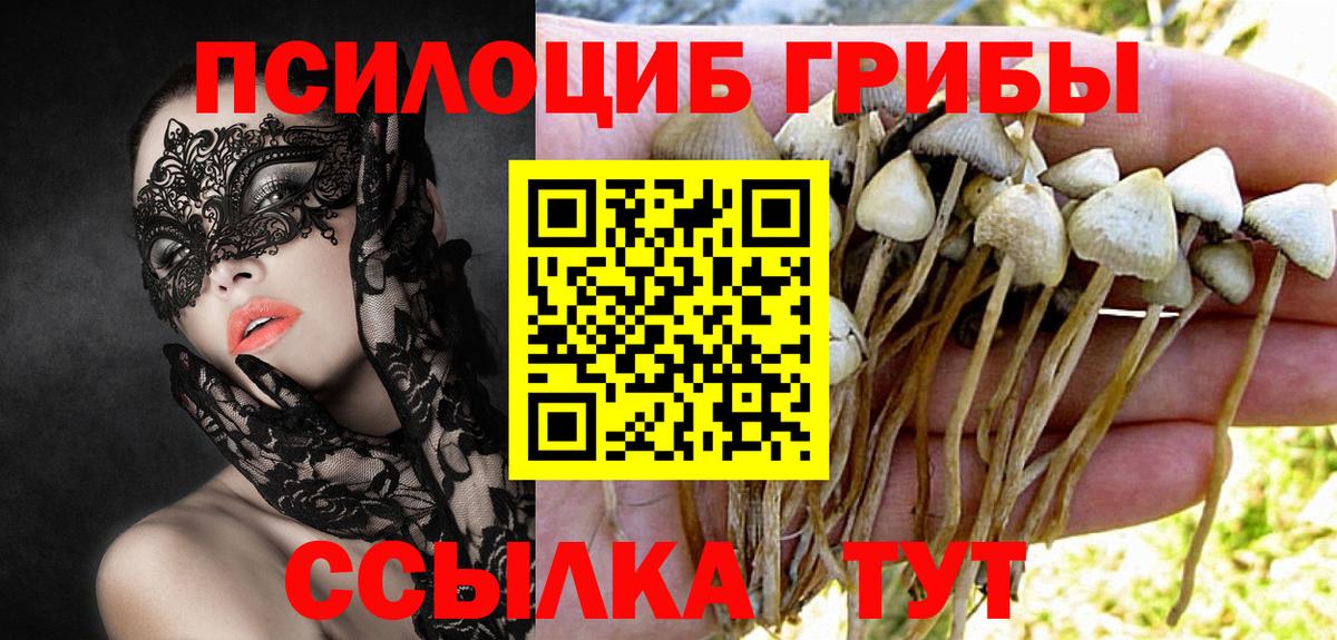 Псилоцибиновые грибы Psilocybine cubensis  Вход с VPN  Крымск  Псилоцибиновые грибы Psilocybe 