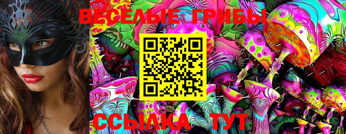 Галлюциногенные грибы Psilocybe Крымск
